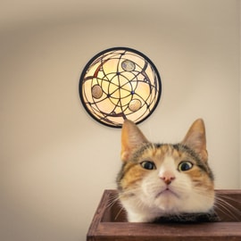 Tiffany Wall Lamp Starry Night 