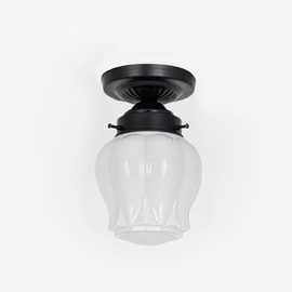 Ceiling Lamp Eden Moonlight 