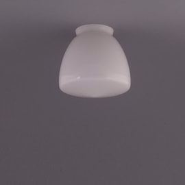 Glass Lampshade Schoolbol Small Grip 8