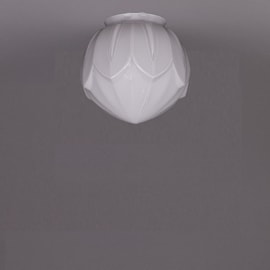 Glasschirm Lotus